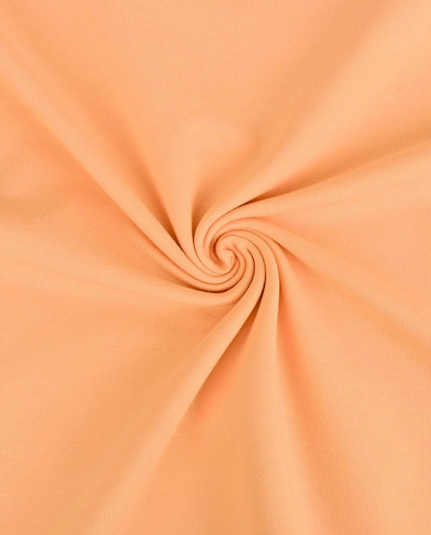 French Terry : 8985 : 1614 : Salmon
