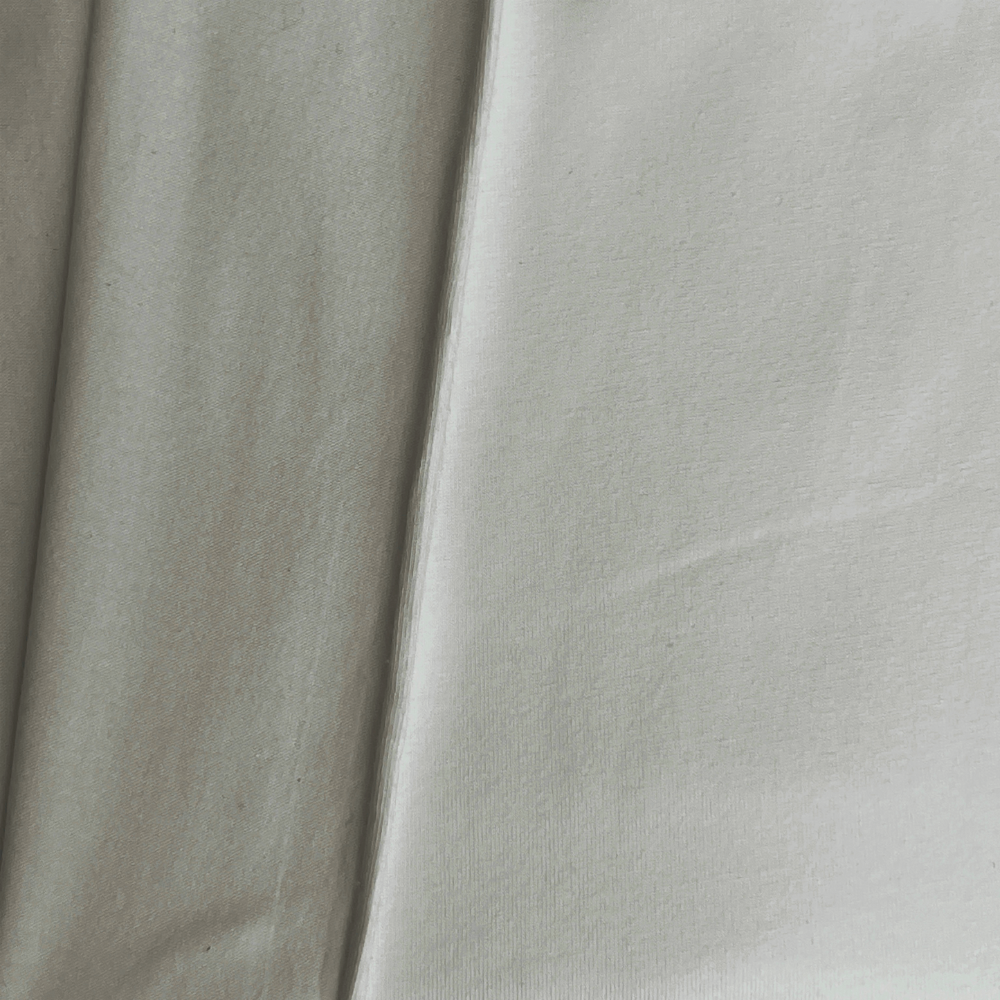 American Milled | Early Frost | Jersey | Organic (BY THE HALF YARD)