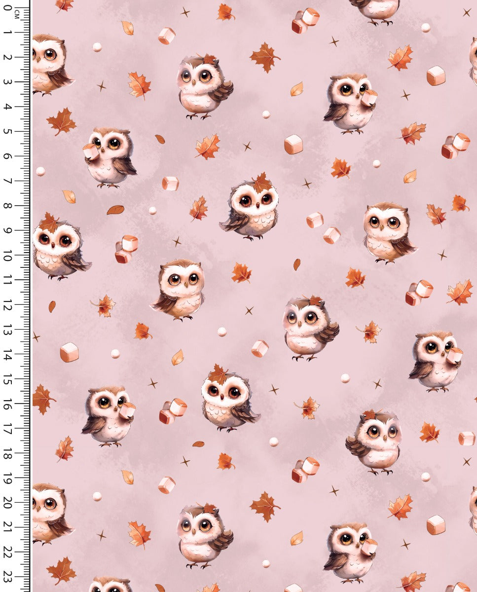 Alpine French Terry (Fleece Backed) Digital Marshmallow Owl : 5858 : 11 : Light Pink