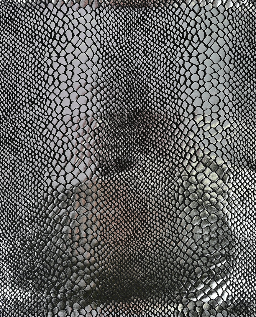 Snake Foil Knitting : 5660 : 65 : Grey