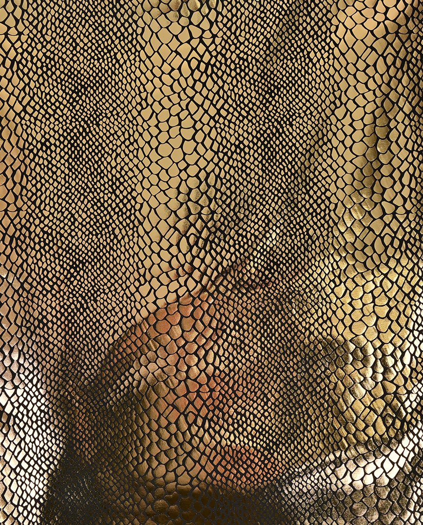 Snake Foil Knitting : 5660 : 35 : Yellow