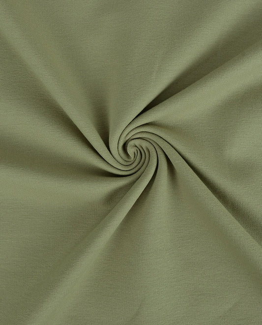 French Terry : 8985 : 1121 : Light Green