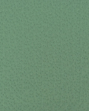 Double Face Cotton : 4879 : 126 : Dark Old Green