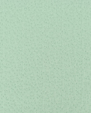 Double Face Cotton : 4879 : 426 : Old Green