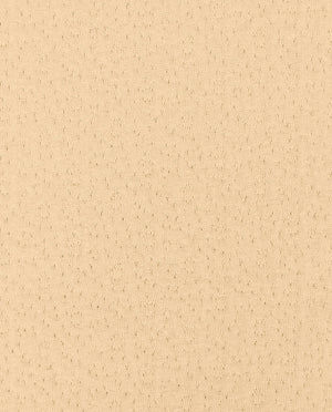 Double Face Cotton : 4879 : 552 : Beige