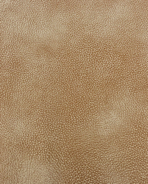 Cantara Leather : 5867 : 454 : Brown