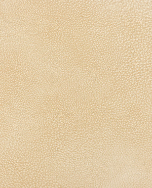 Cantara Leather : 5867 : 652 : Light Beige