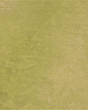 Velours De Panne : 6028 : 27 : Green