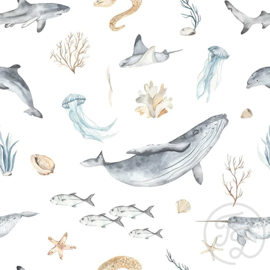 (IN STOCK) Family Fabrics | Oceanlife Pastel 100-1665 | Jersey 220gsm BY THE HALF YARD