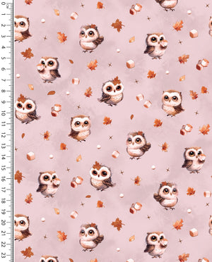 Alpine French Terry (Fleece Backed) Digital Marshmallow Owl : 5858 : 11 : Light Pink