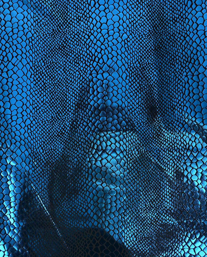 Snake Foil Knitting : 5660 : 4 : Aqua
