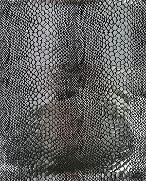 Snake Foil Knitting : 5660 : 65 : Grey