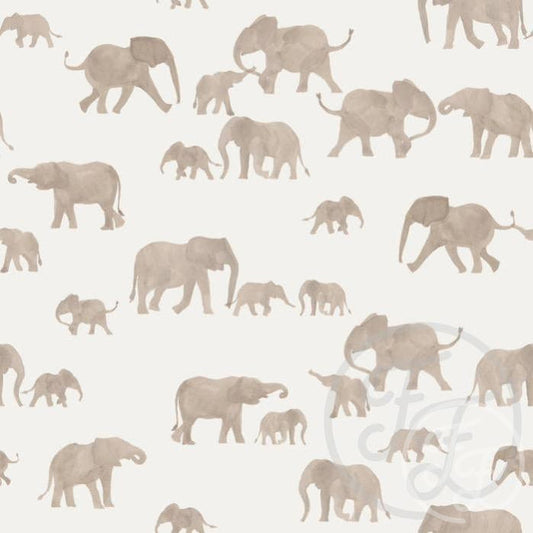 Family Fabrics | Elephants Grey 100-150 (by the full yard)