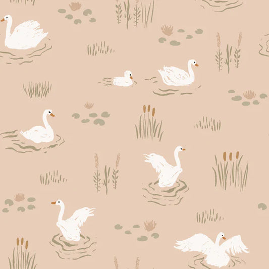 Family Fabrics | Swans Coral 101-206 (by the full yard)